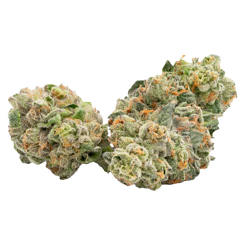 AK 47