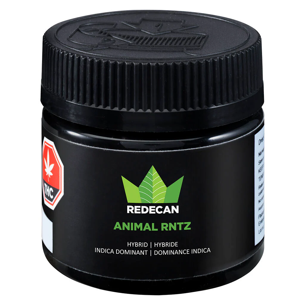 Animal Rntz - Image 4