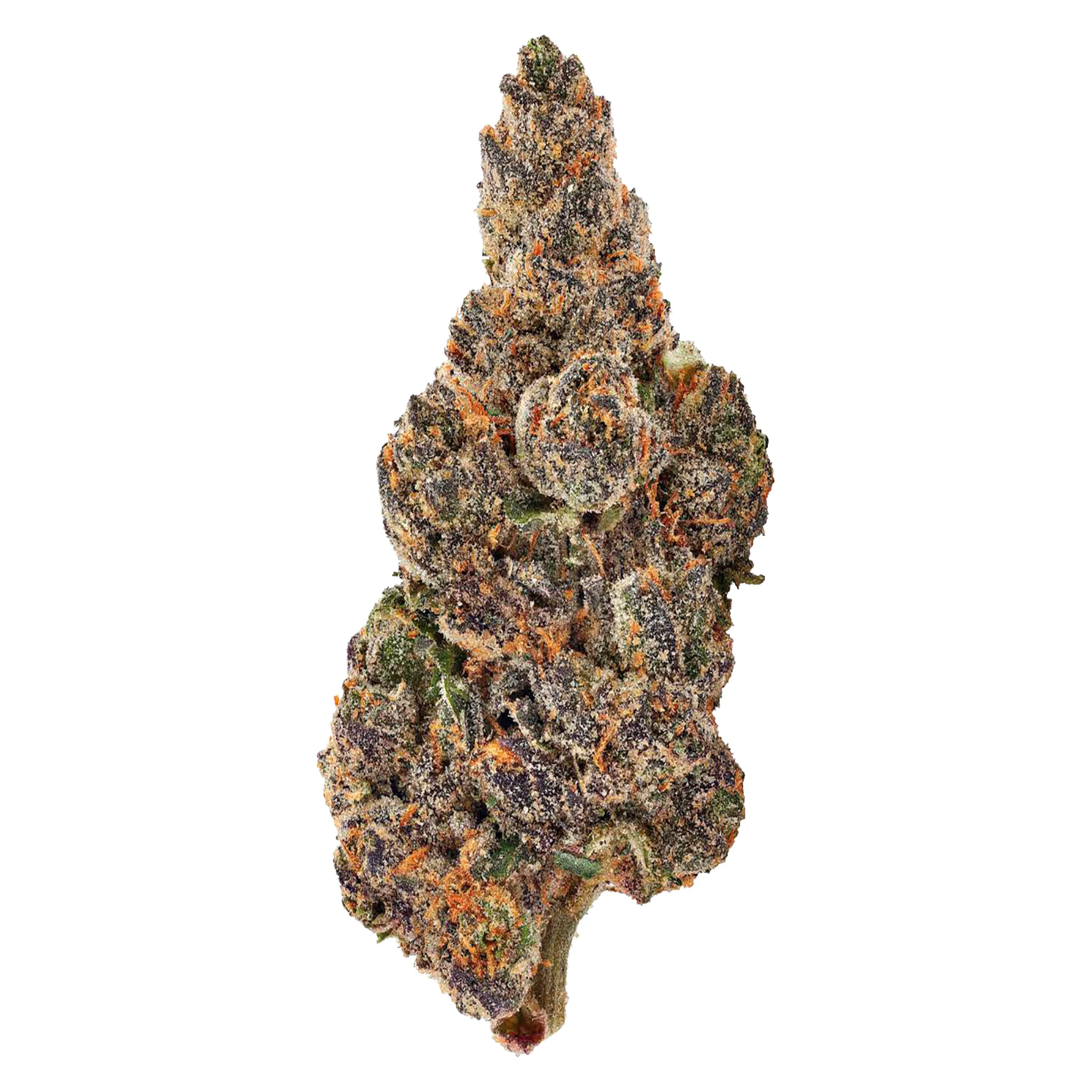 Banana Daddy - Image 6
