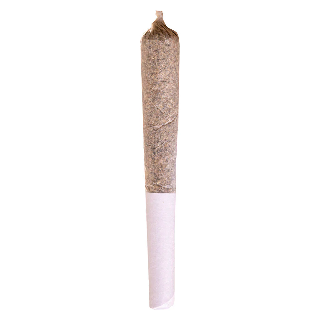 Beaver Tail Pre-Roll