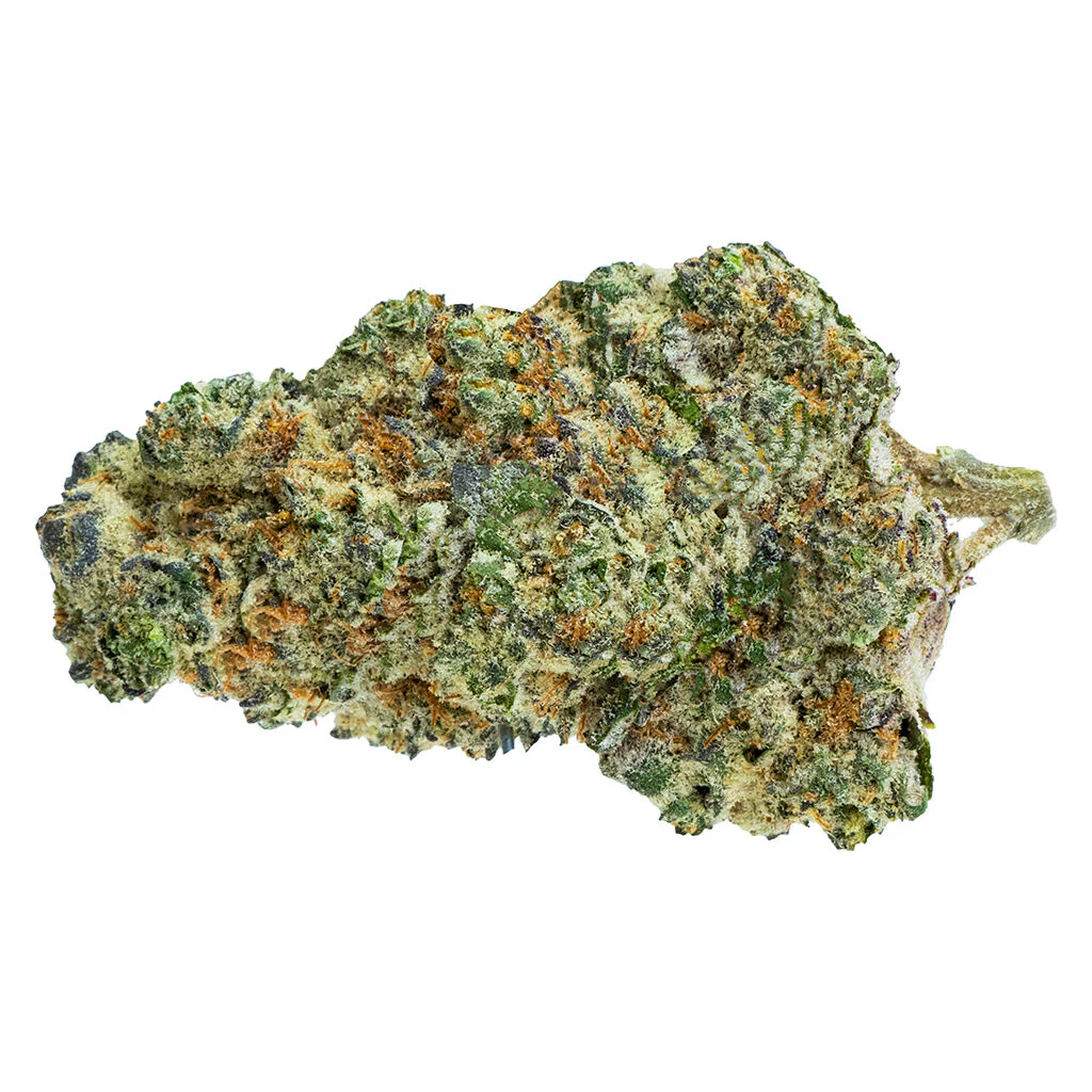 Big White - Image 3