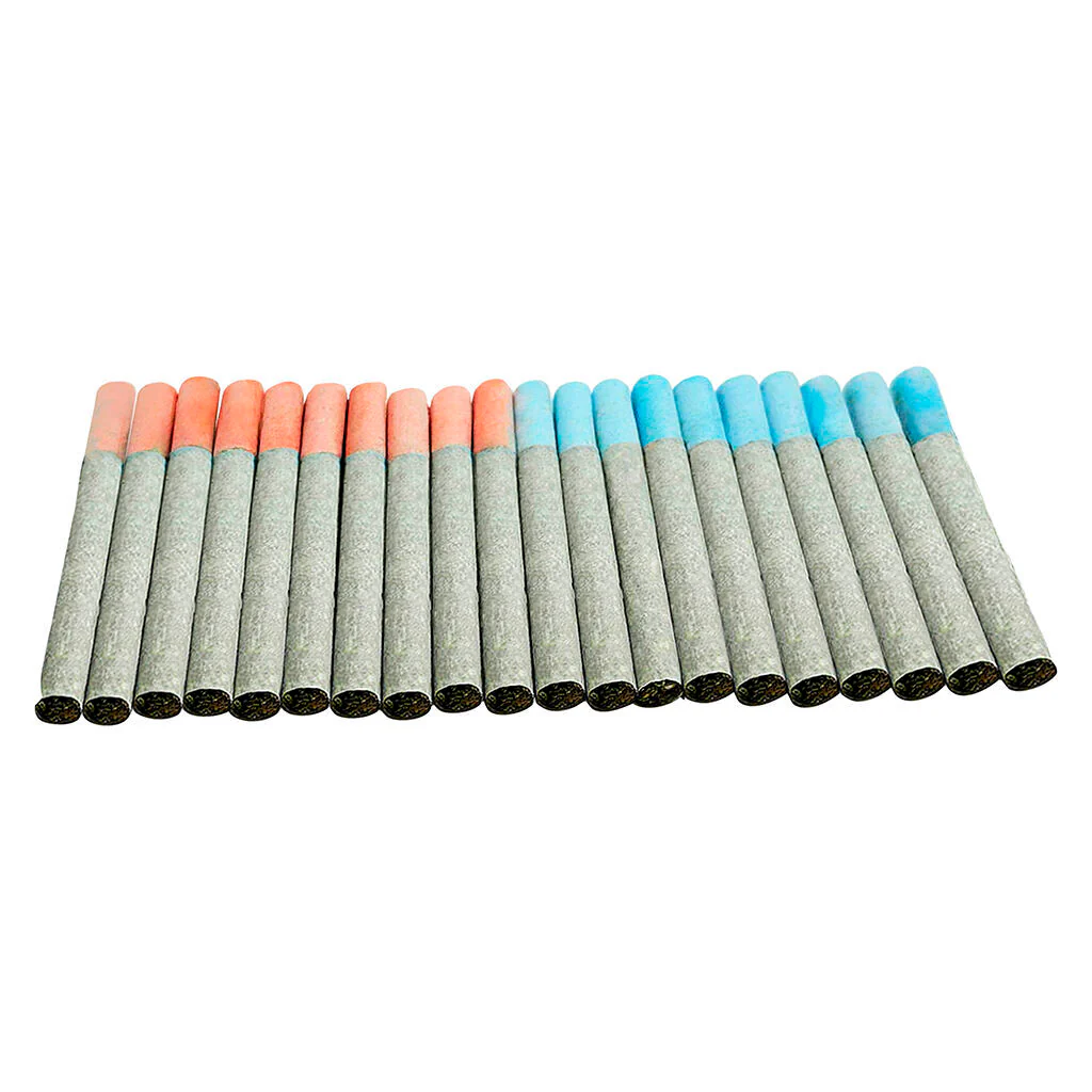Block Party Pre-Roll