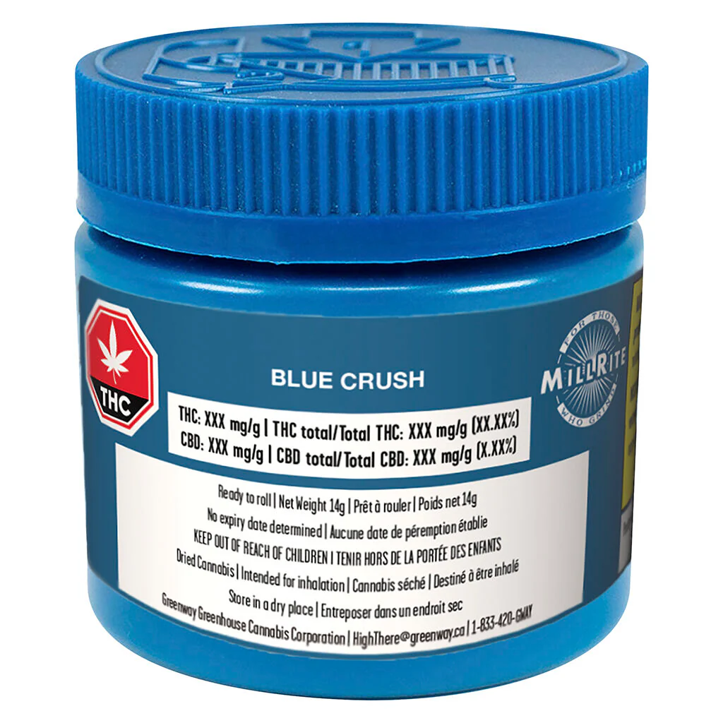 Blue Crush - Image 2