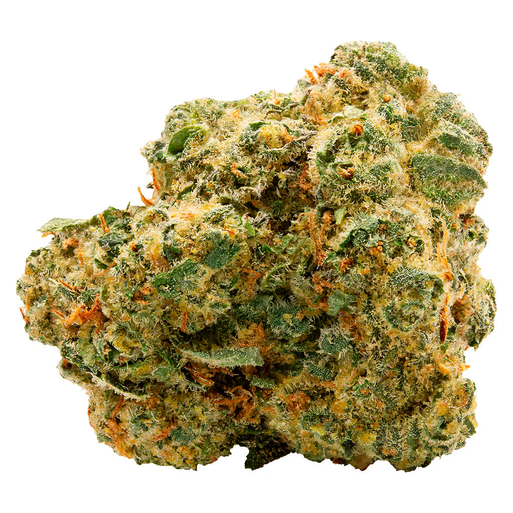 Blue Thai - Image 5