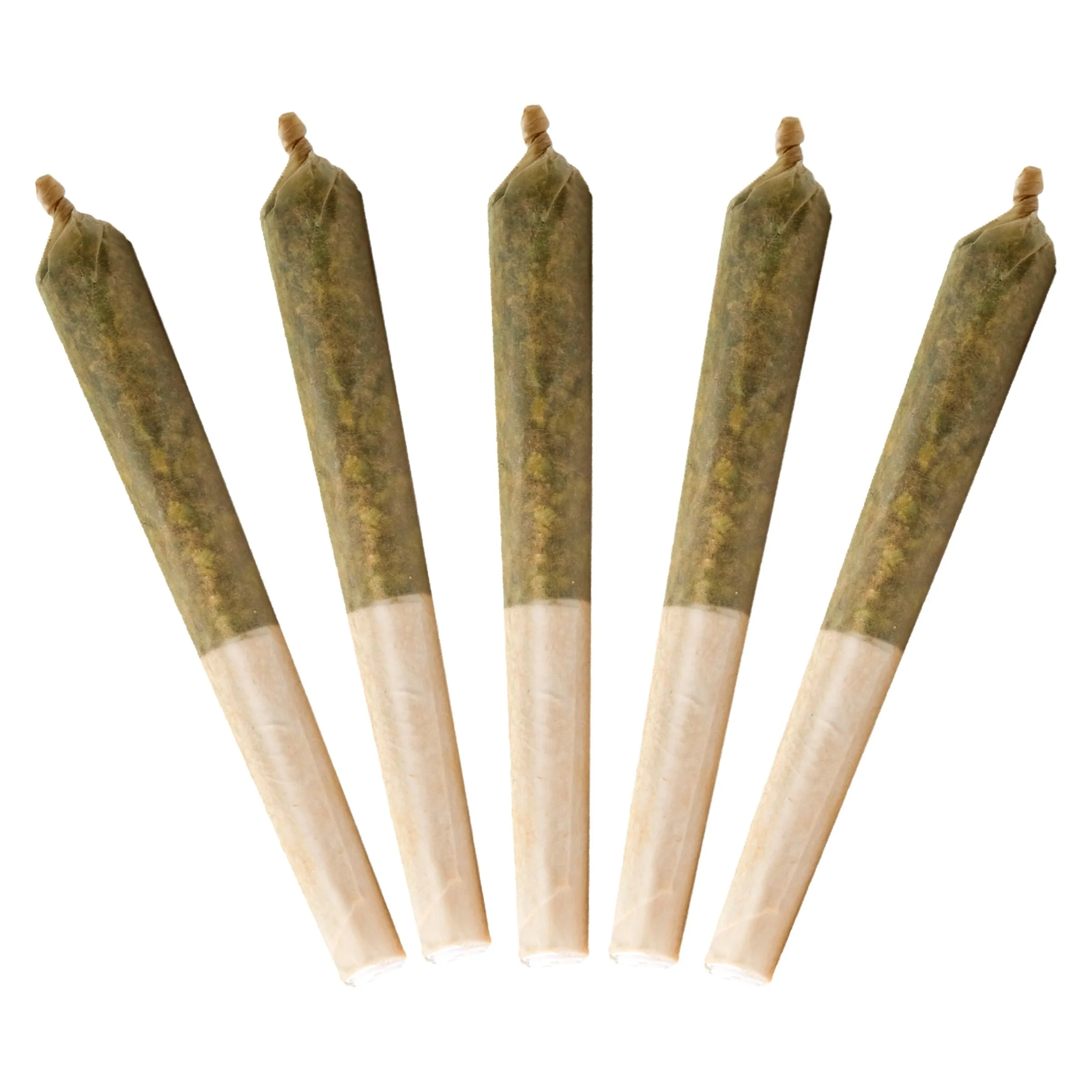 Préroulé infusé au Blue Zlshies