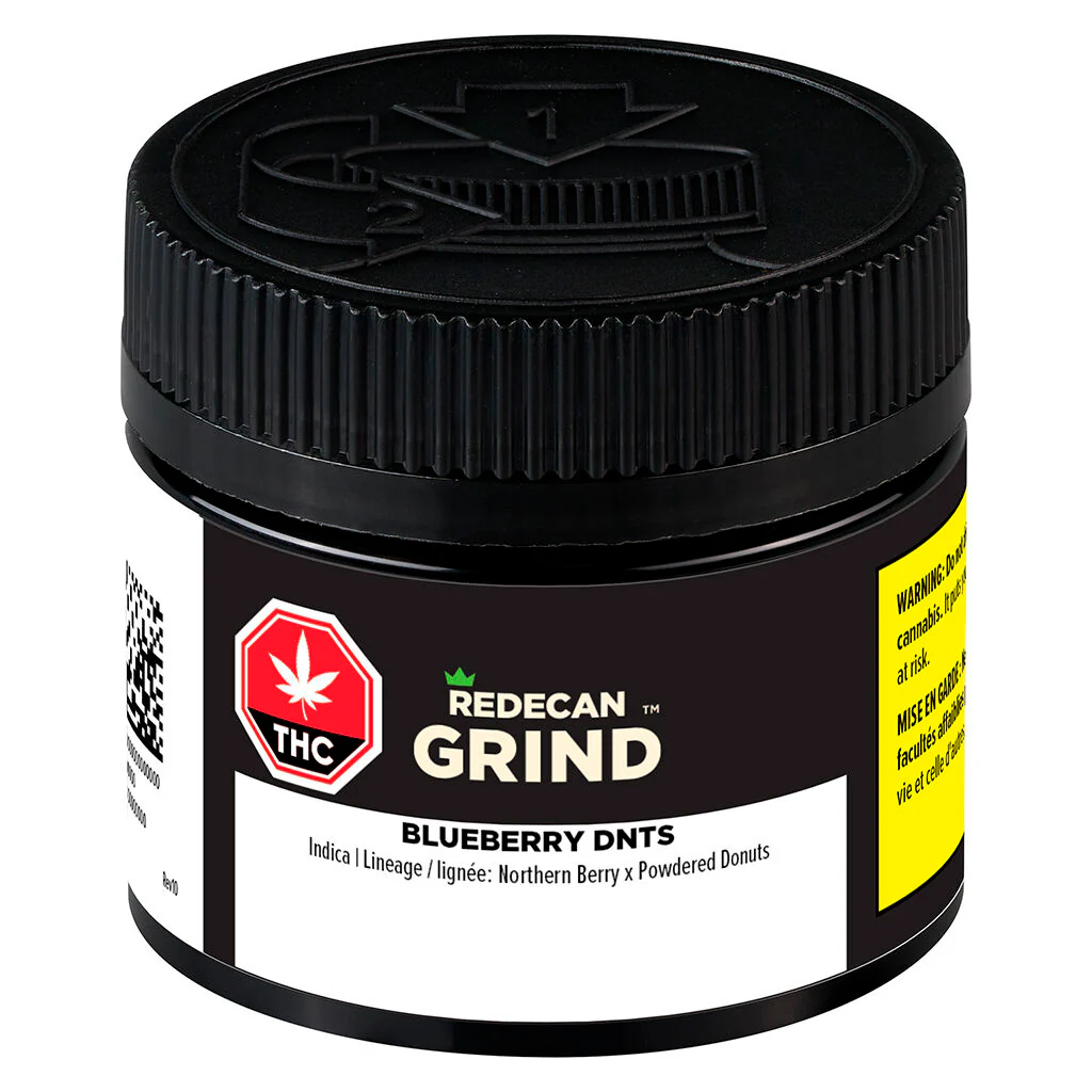 Blueberry DNTs Broyée - Image 2
