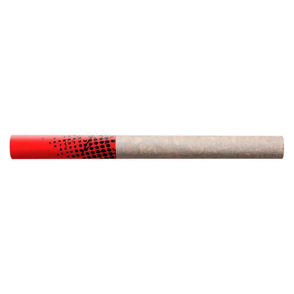 Préroulé de style tube Blueberry Dream