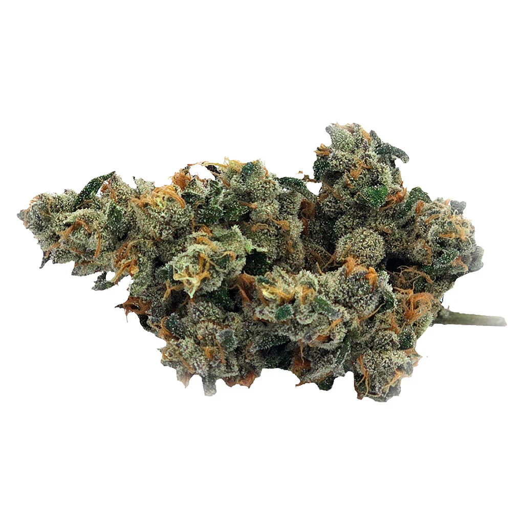 Bluenose Berry