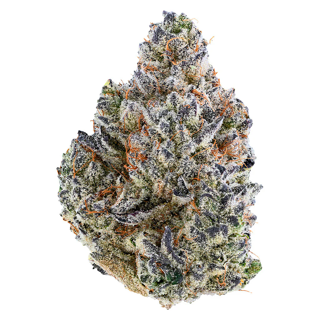 Bubble Up - Image 5