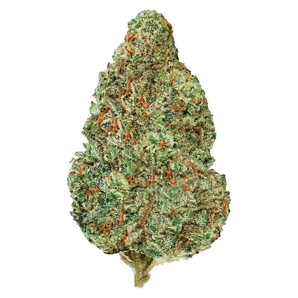 Chemzilla - Image 9
