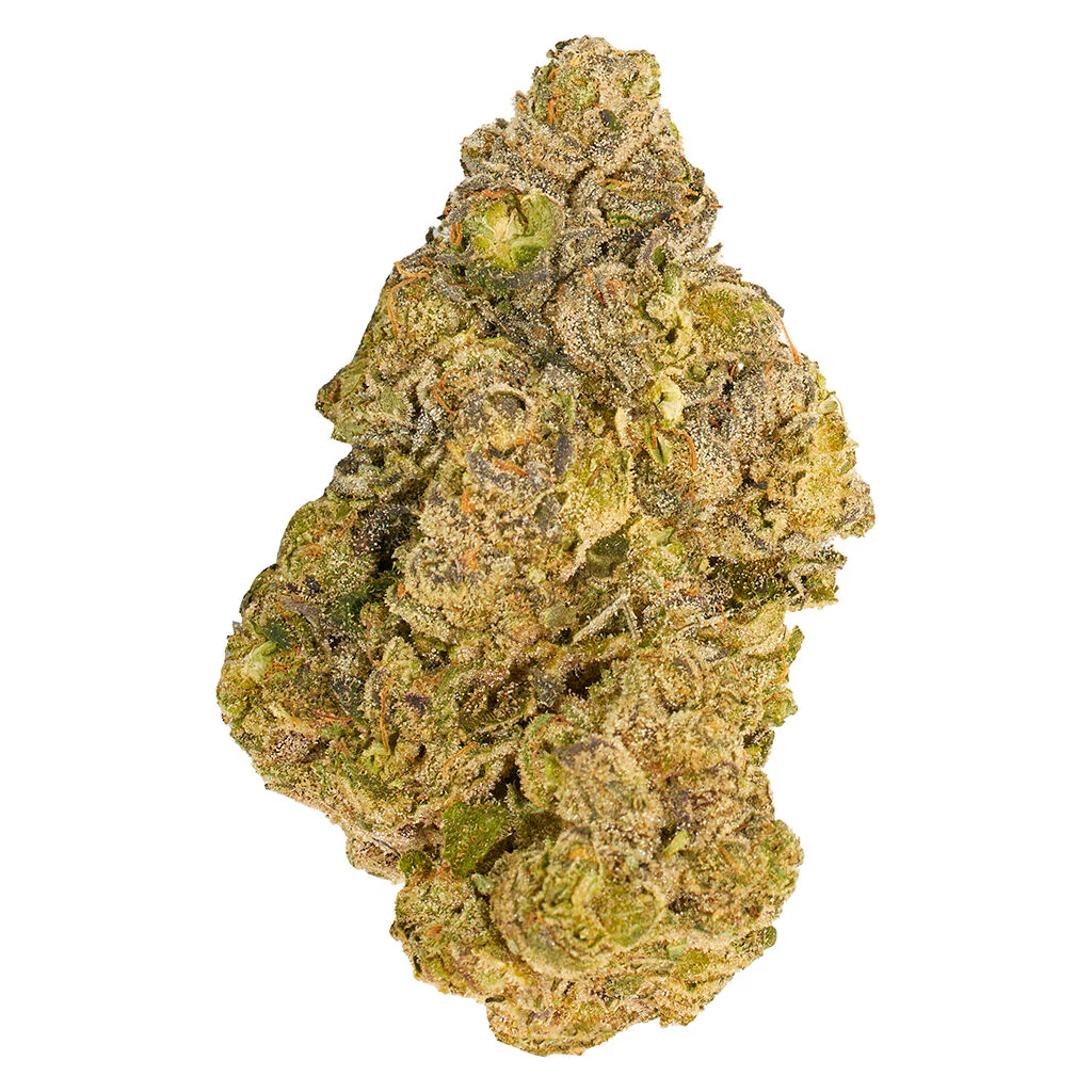 Cherry Ztripez