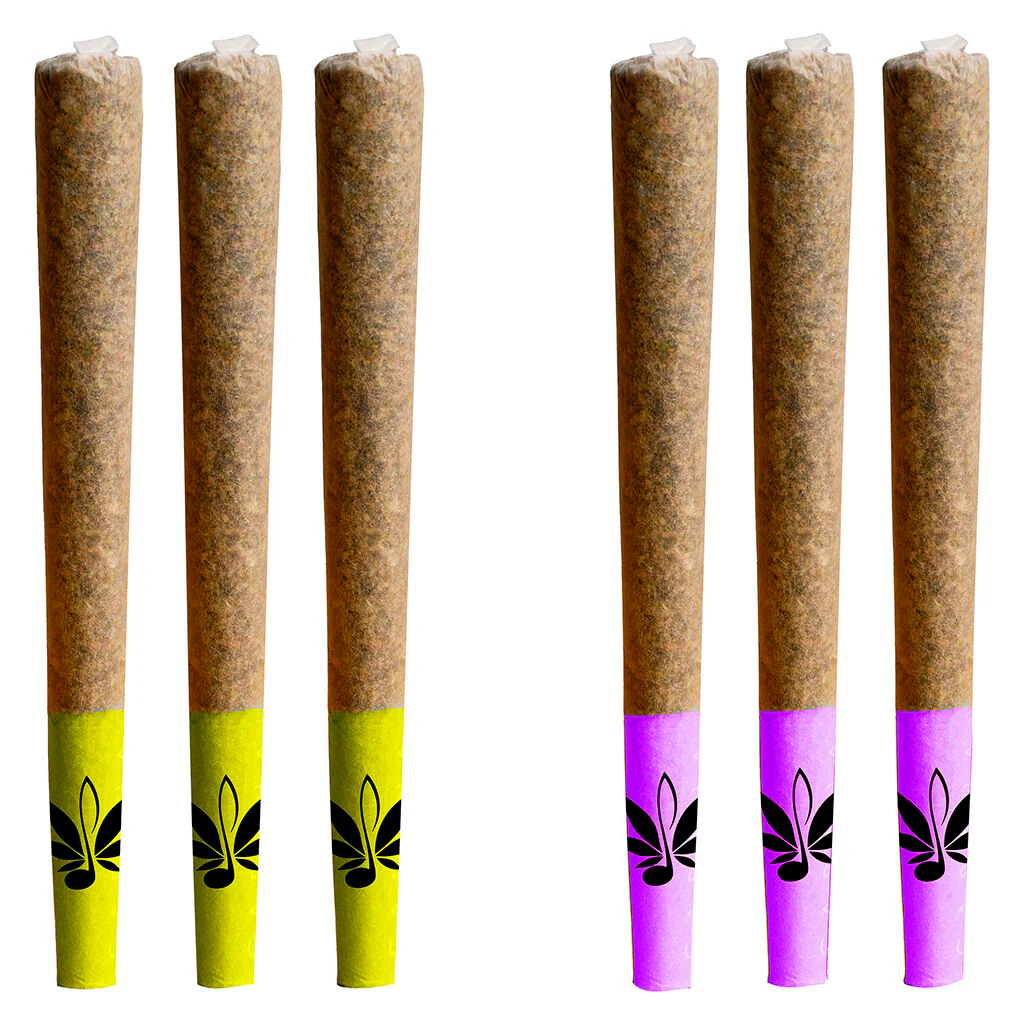Assortiment Day & Night de préroulé Js