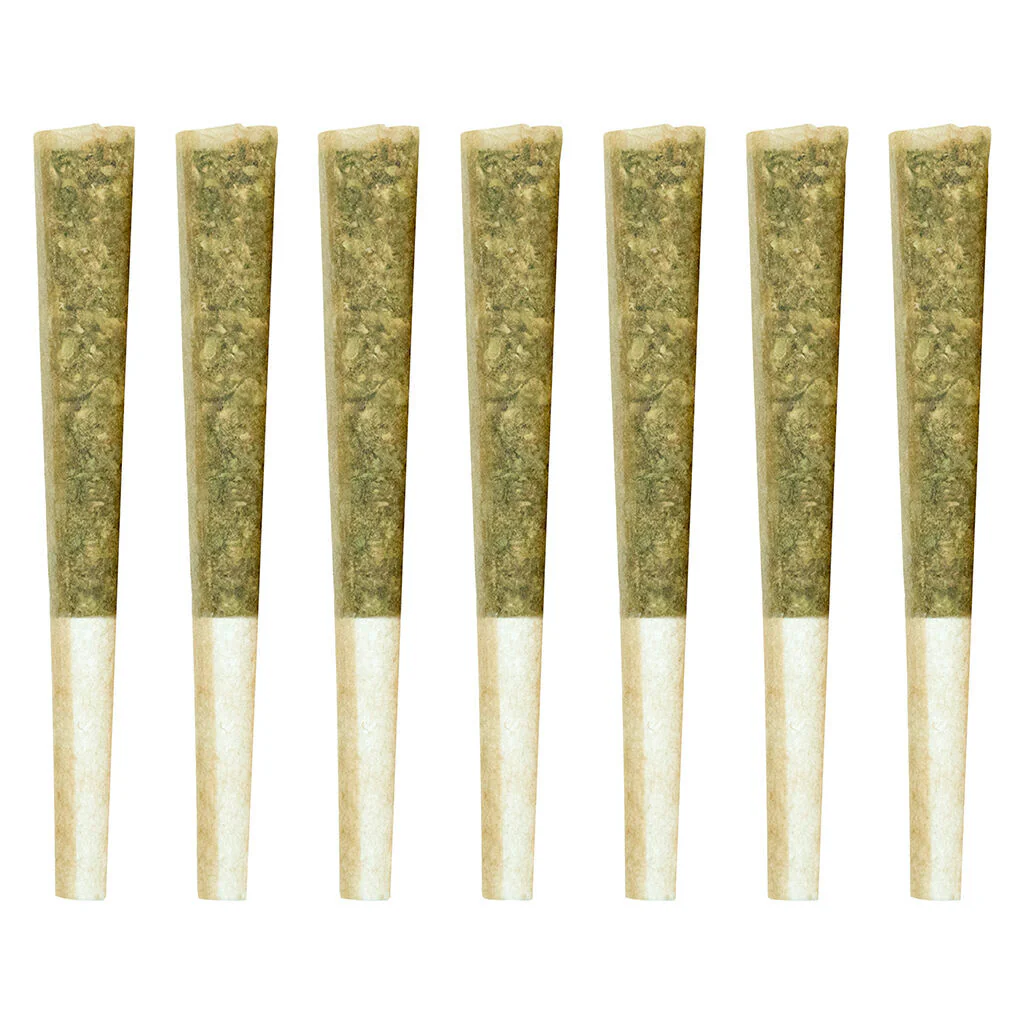 El Jefe Pre-Roll