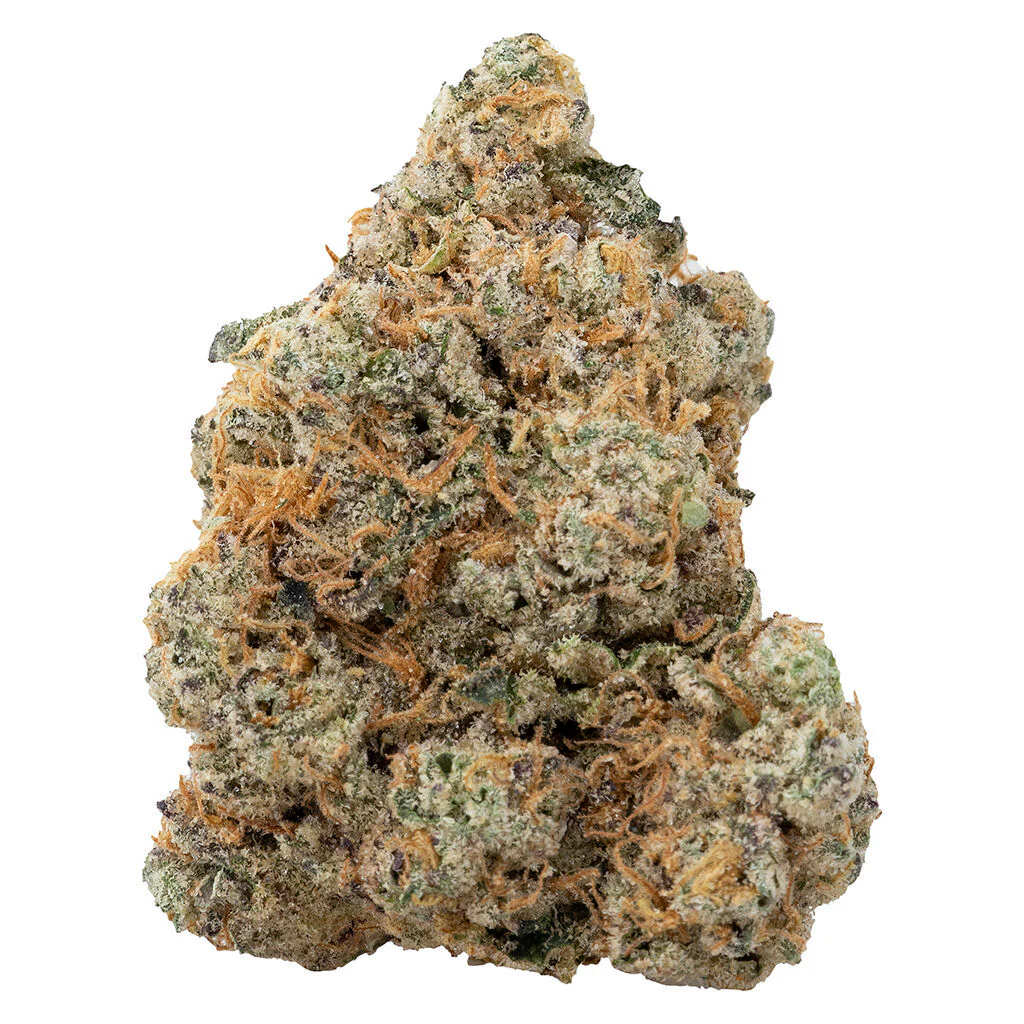 Exotic Gas