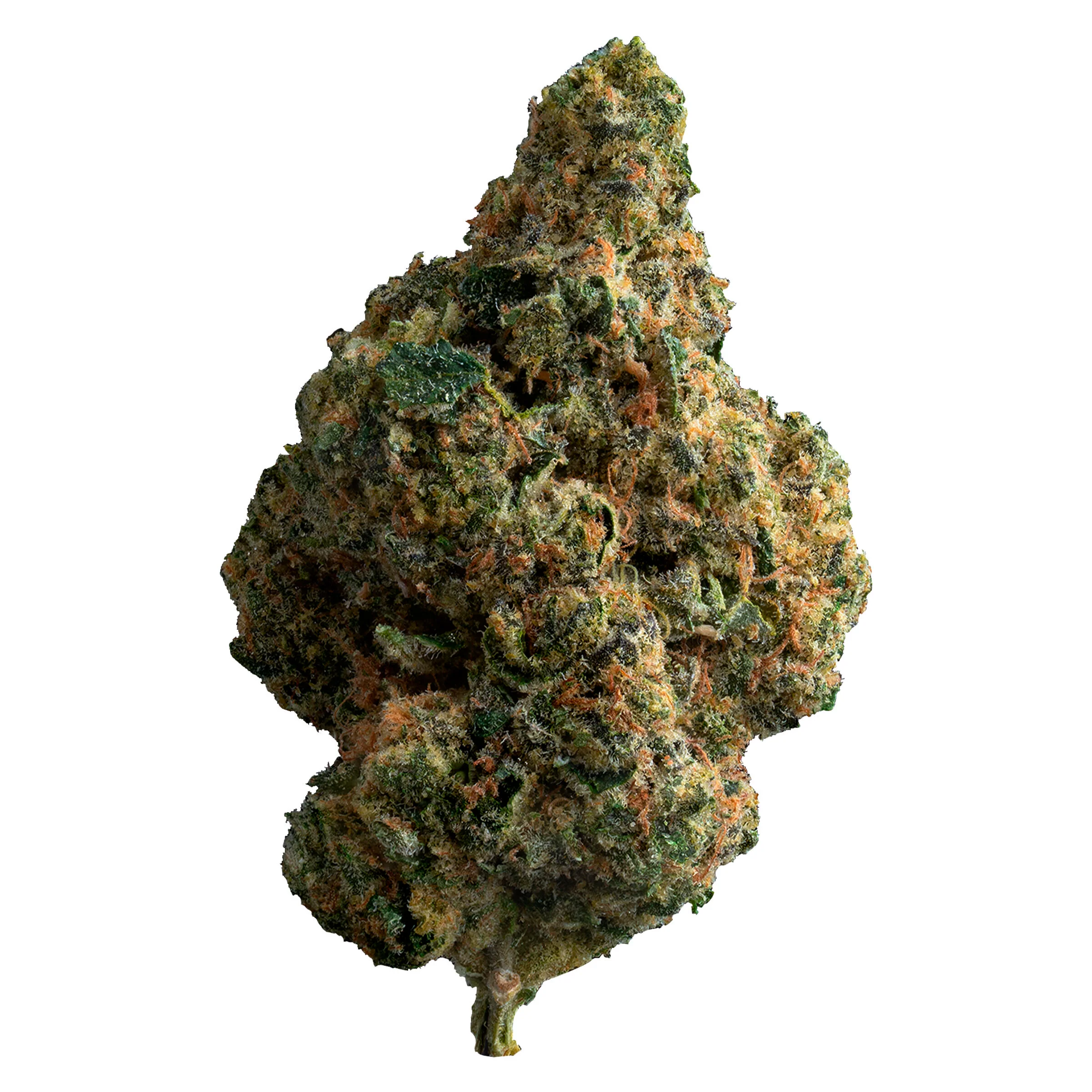 Exotic Gas - Image 5