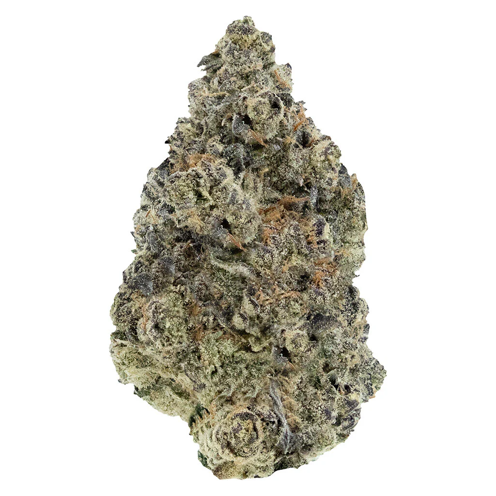 Fleur artisanale Sunset Sherbet