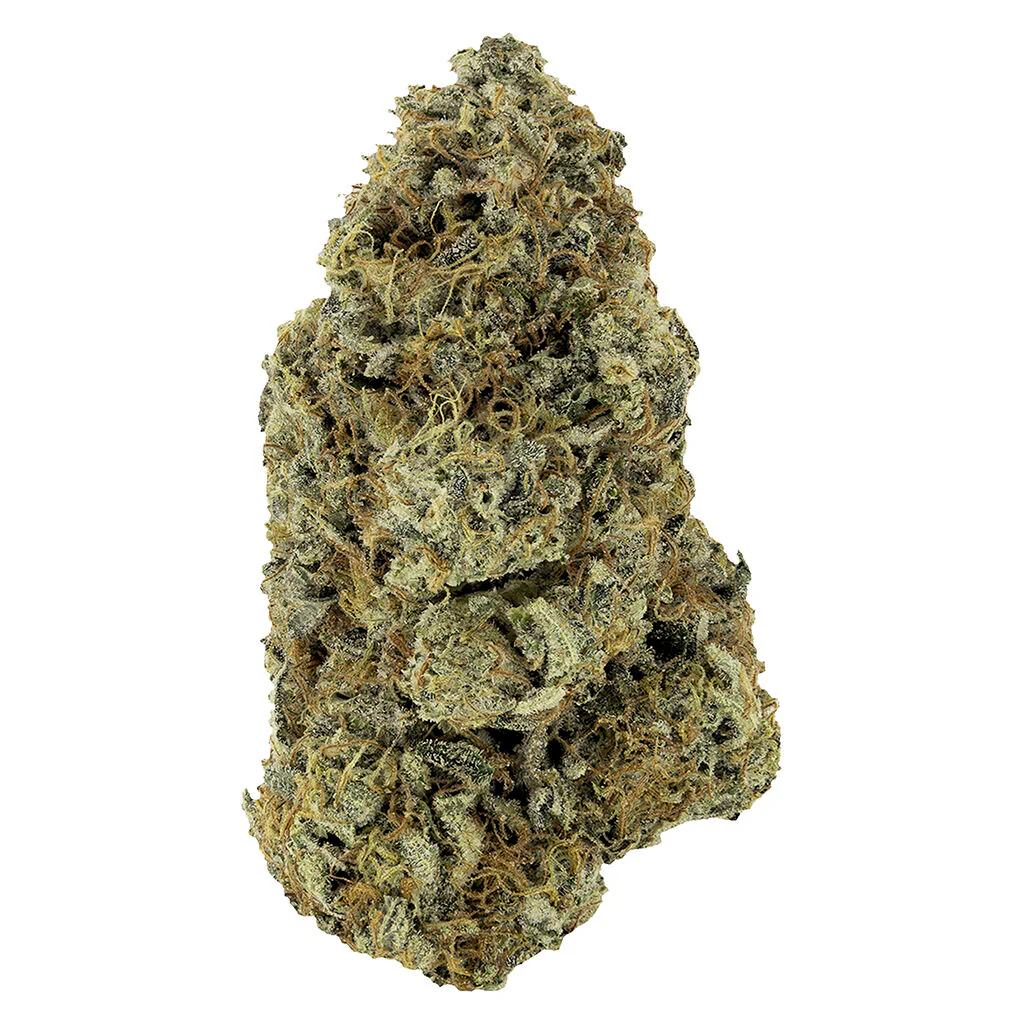 Fleur artisanale Sunset Sherbet - Image 3