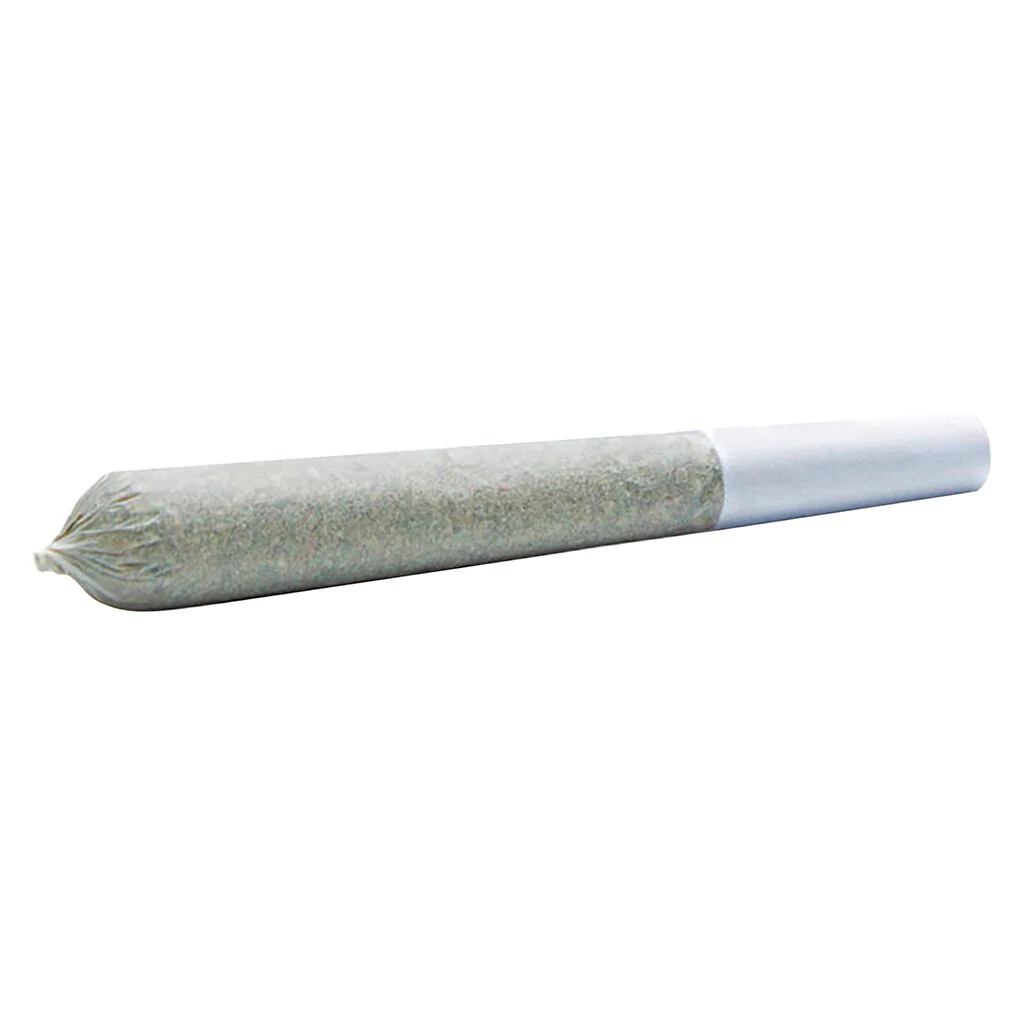 Foxy Haze Face Pre-Roll