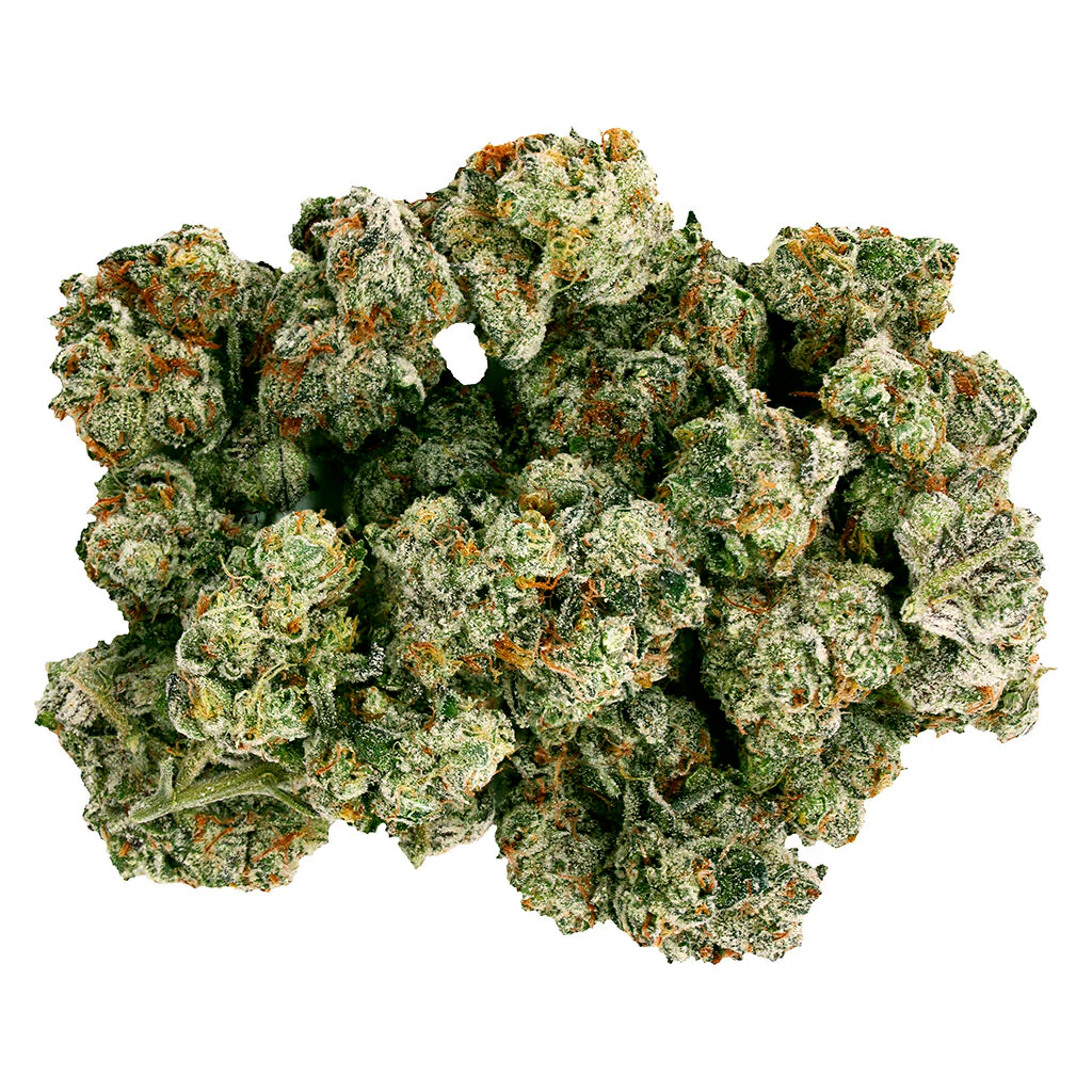 Frenchy Macaroni - Image 3
