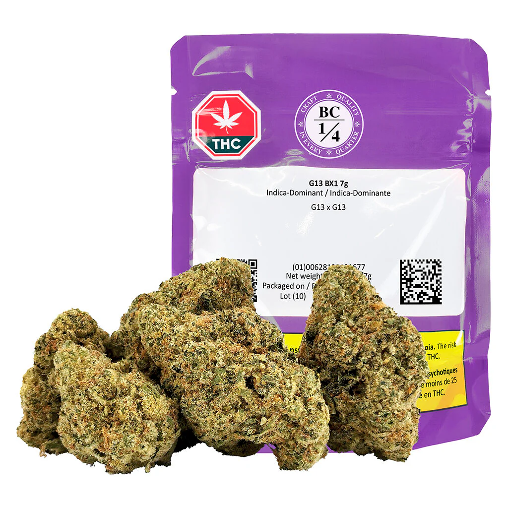 G13 Bx1 - Image 4