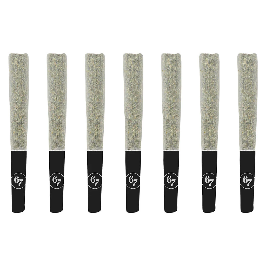 Gas Face Pre-Roll