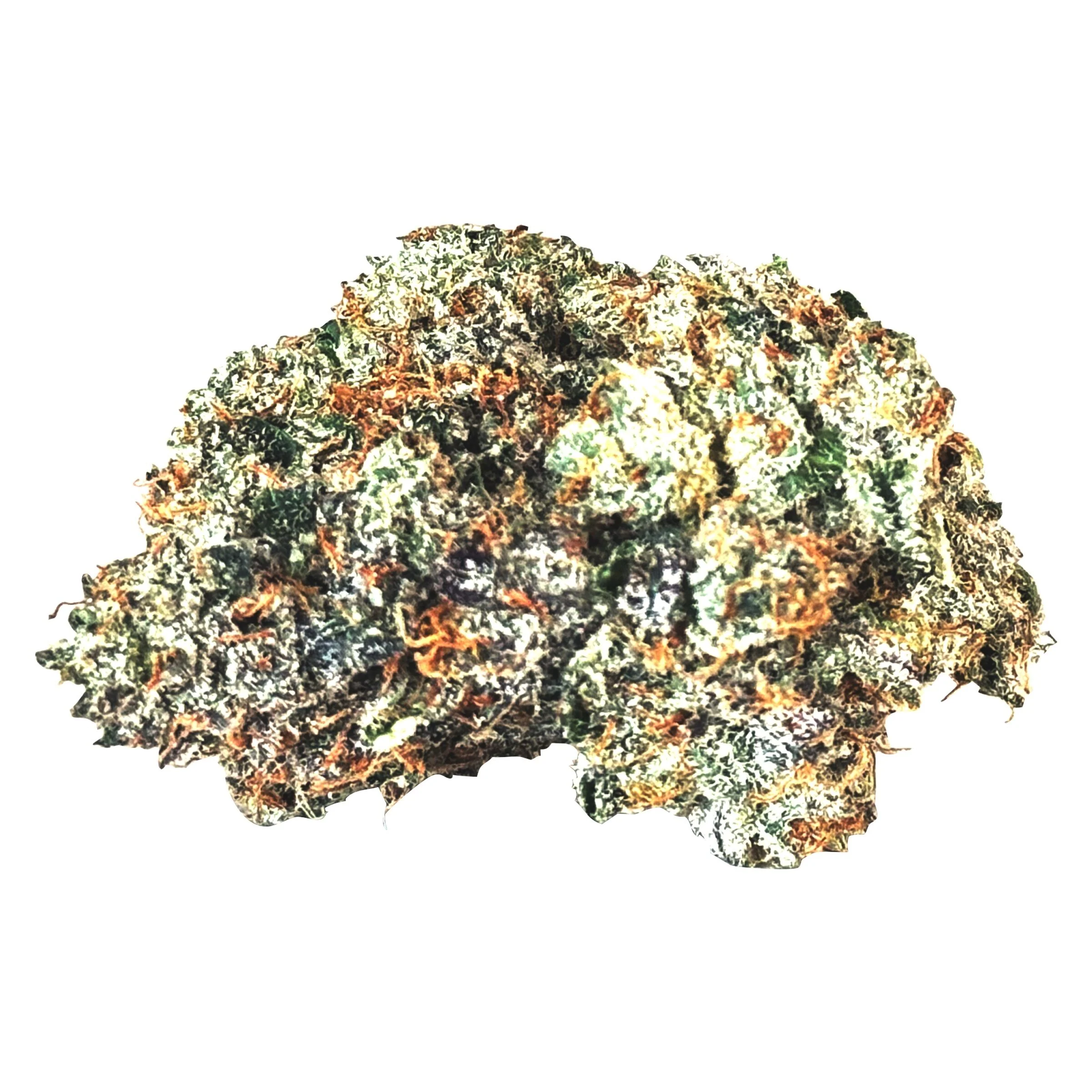 Gas n' Up - Image 3