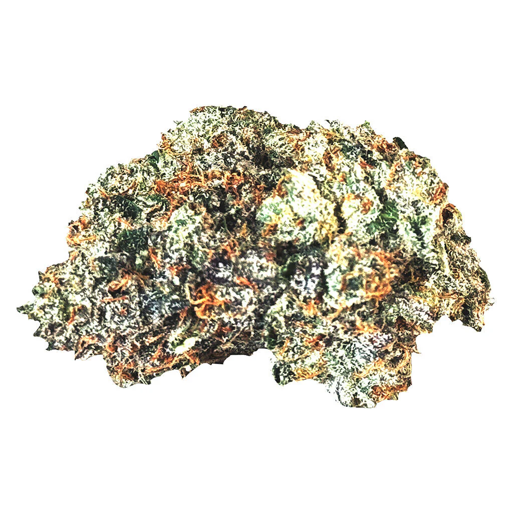 Gas n’ Up - Image 6