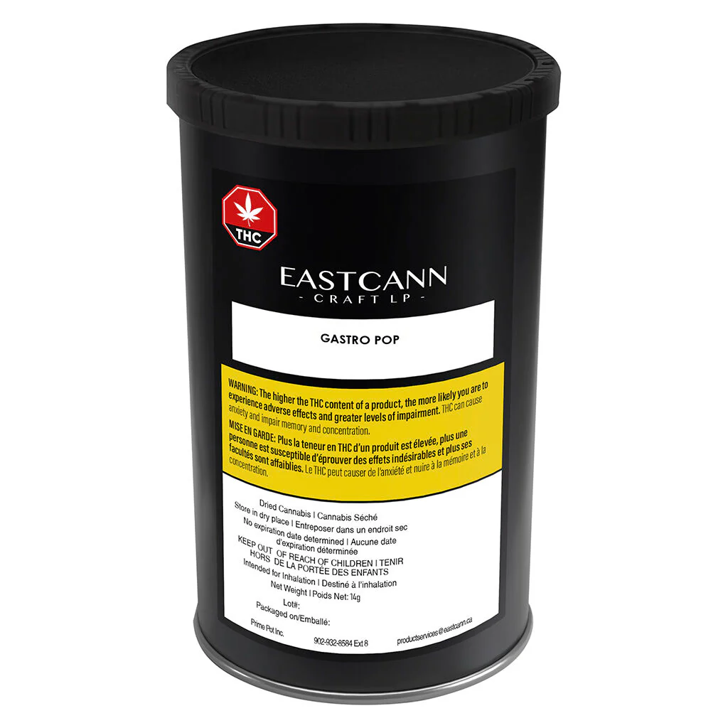 Gastro Pop - Image 8