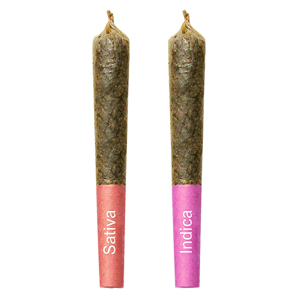 Duo de préroulés infusés à l’ambre Gemini Sun and Moon