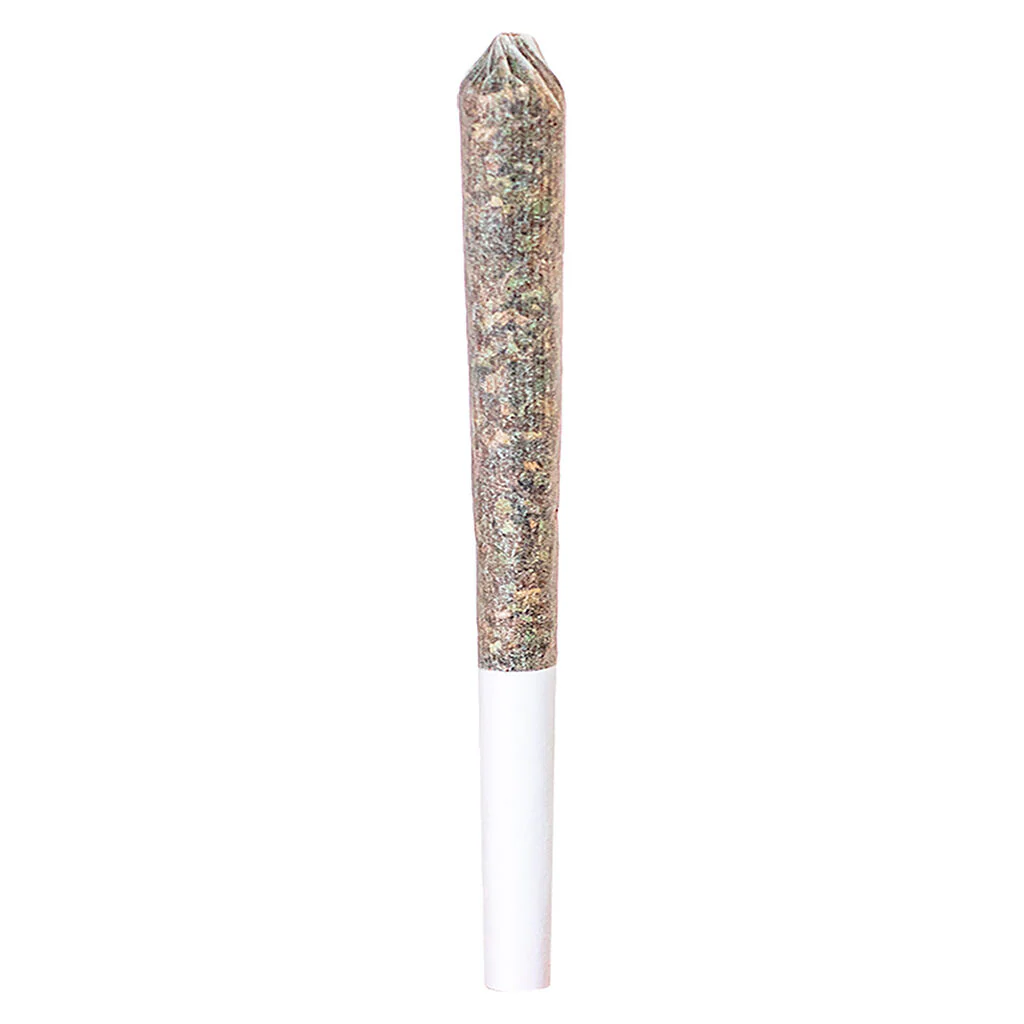 GG#4 Pre-Roll
