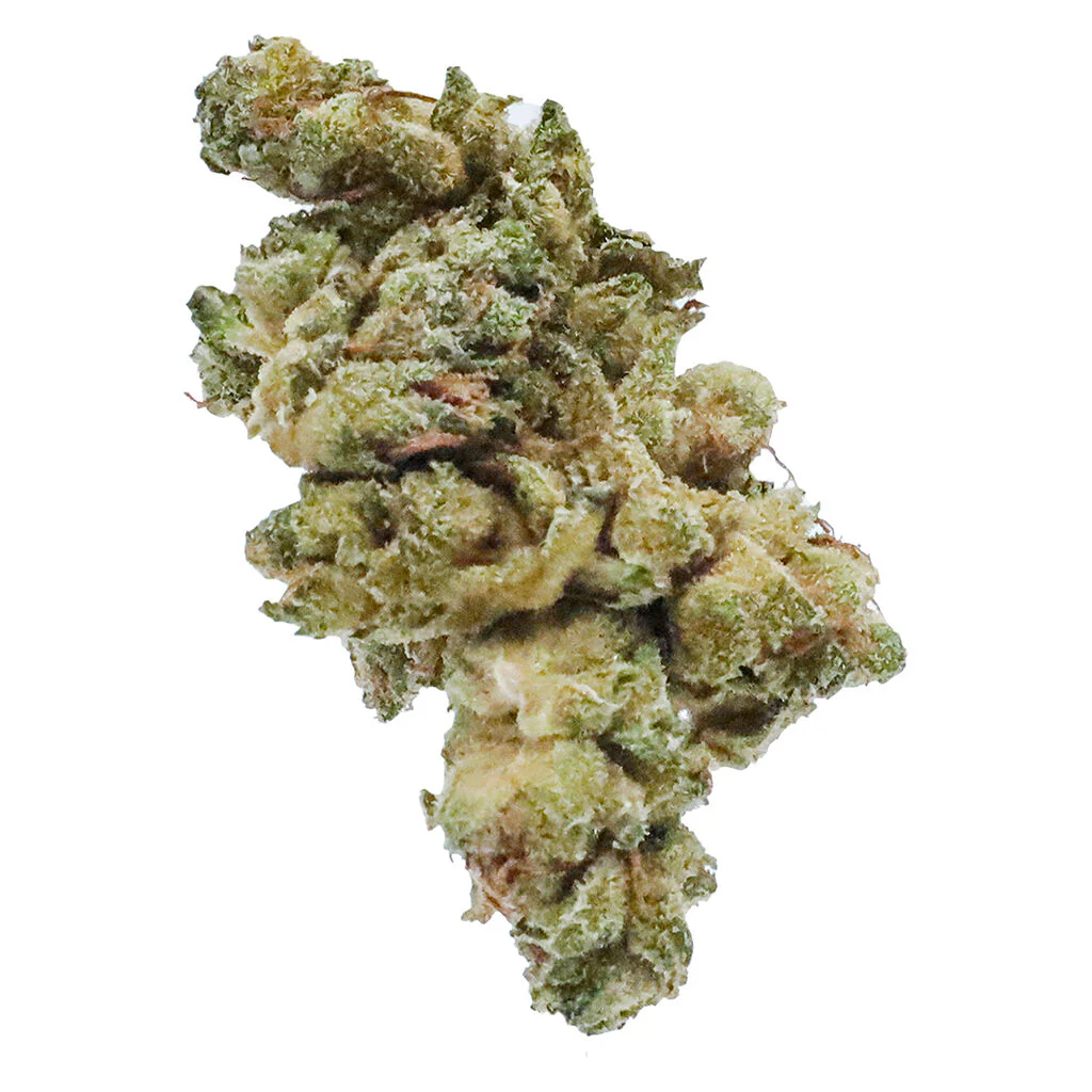 GG#4