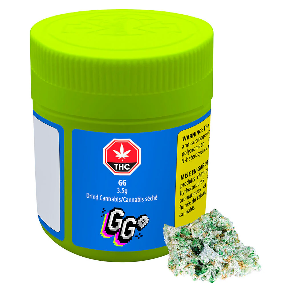 GG - Image 4