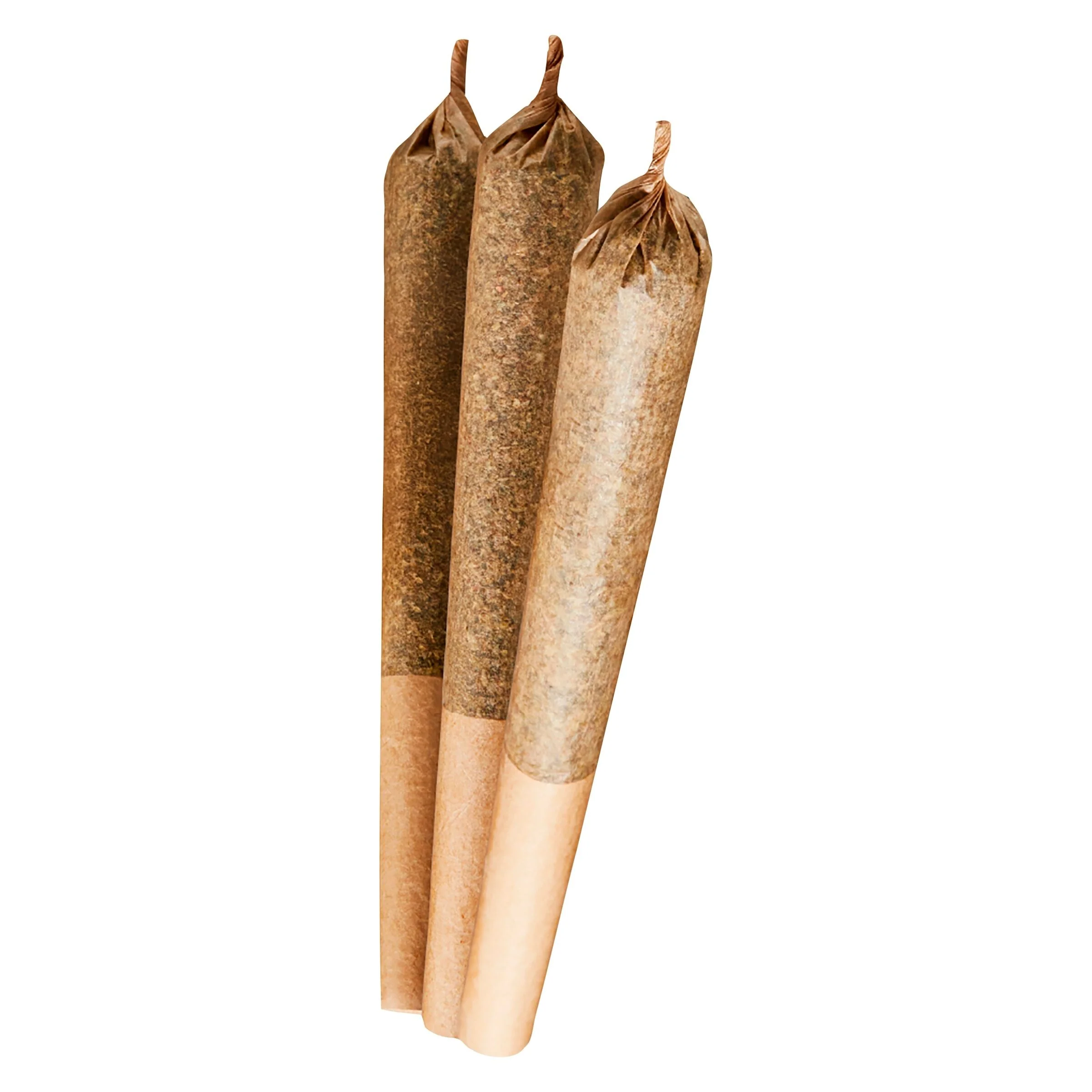 Préroulé Girl Scout Cookies