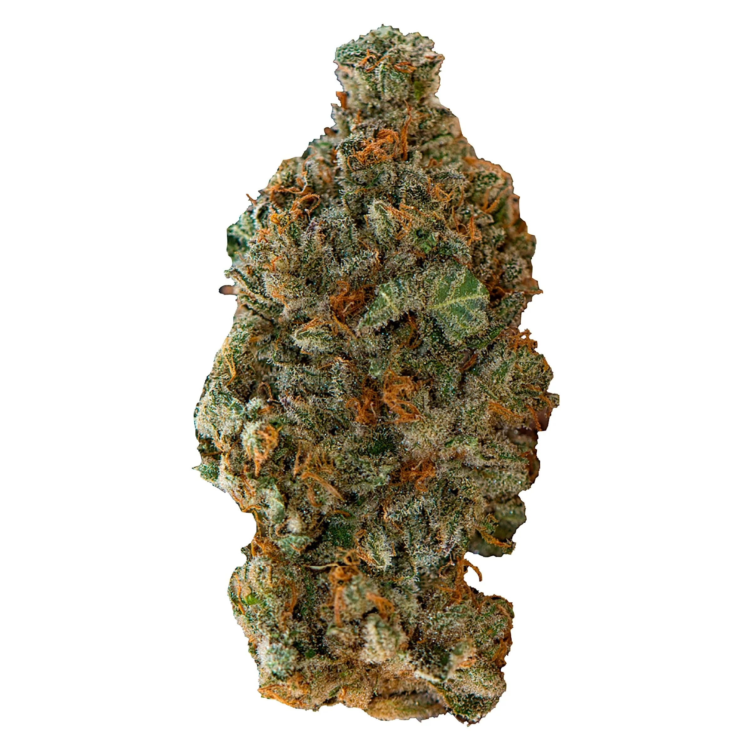 Girl Scout Cookies