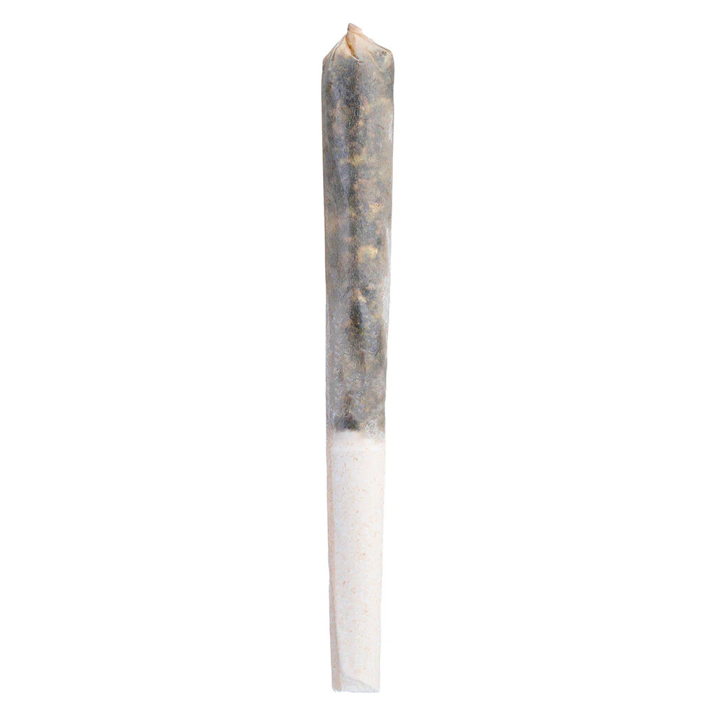 Préroulé infusé IC Infusion - Image 3