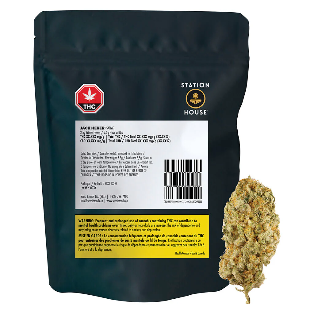 Jack Herer - Image 4