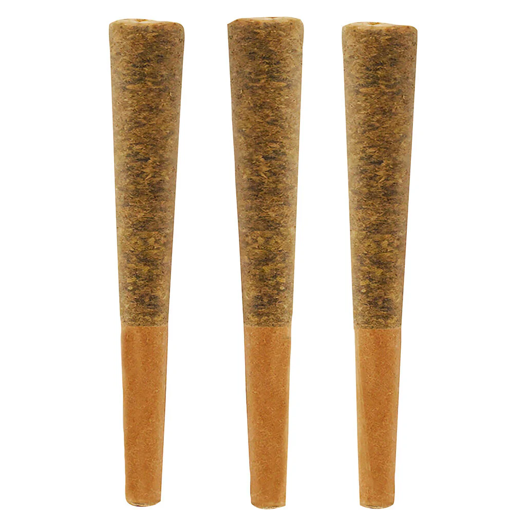 Jungle Fire Pre-Roll