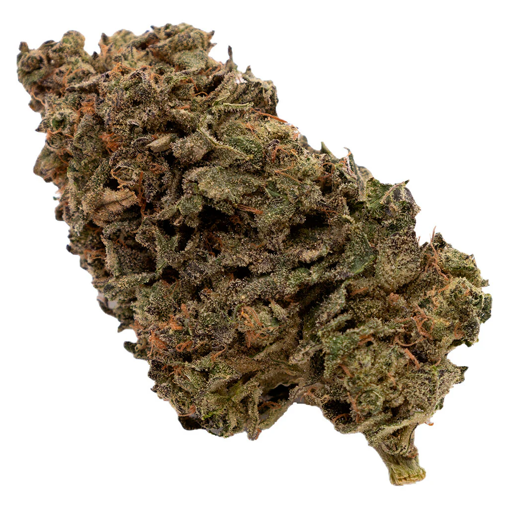 Jungle Fumes - Image 11