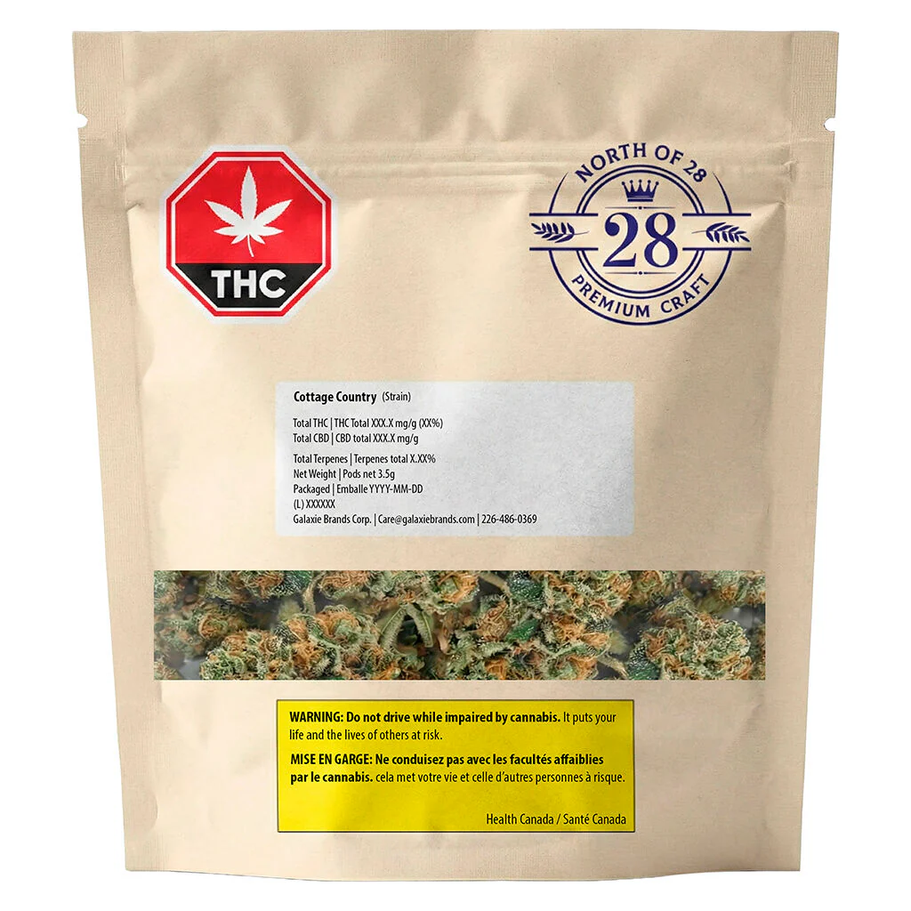 Kush Mintz - Image 2