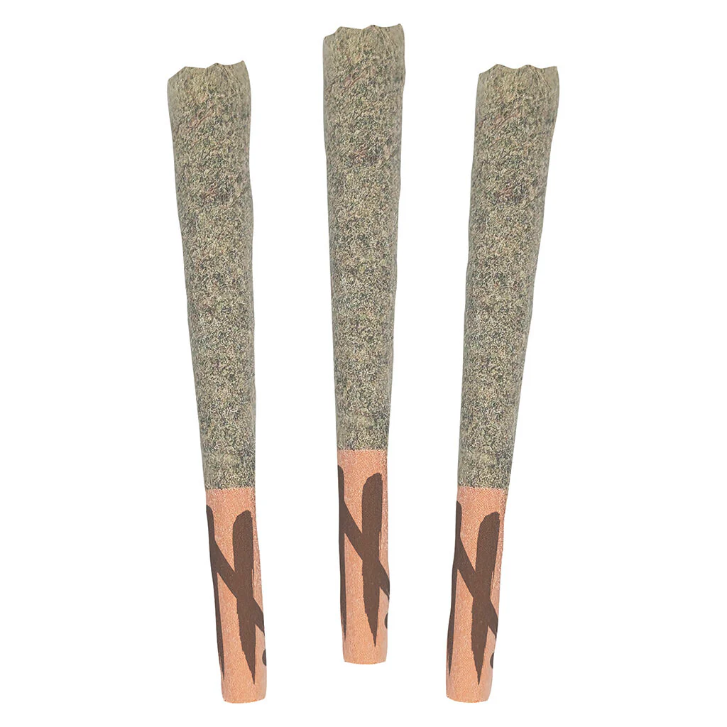 Préroulé Limited Reserve Sativa