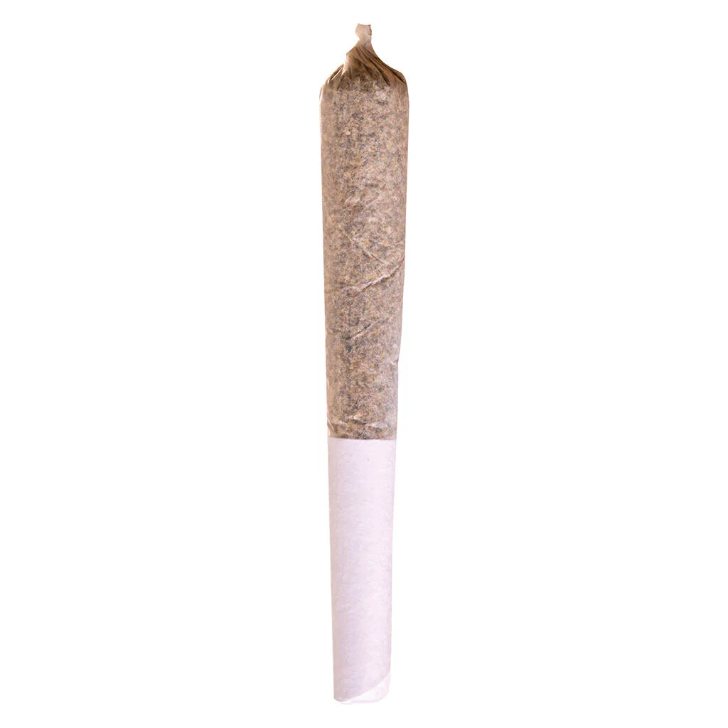 Mango Dream Pre-Roll