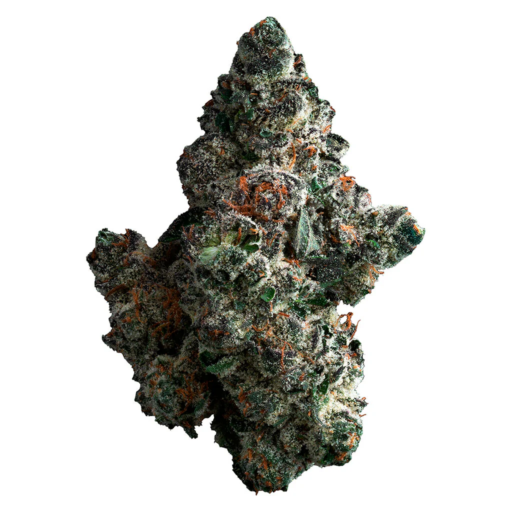 Masque à gaz - Image 3