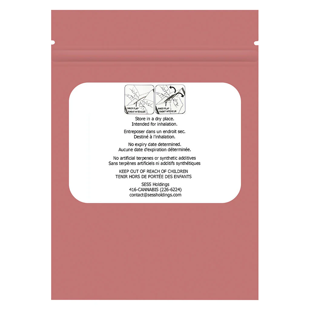 Mini Packs Guava Gum AIO Vape - Image 2