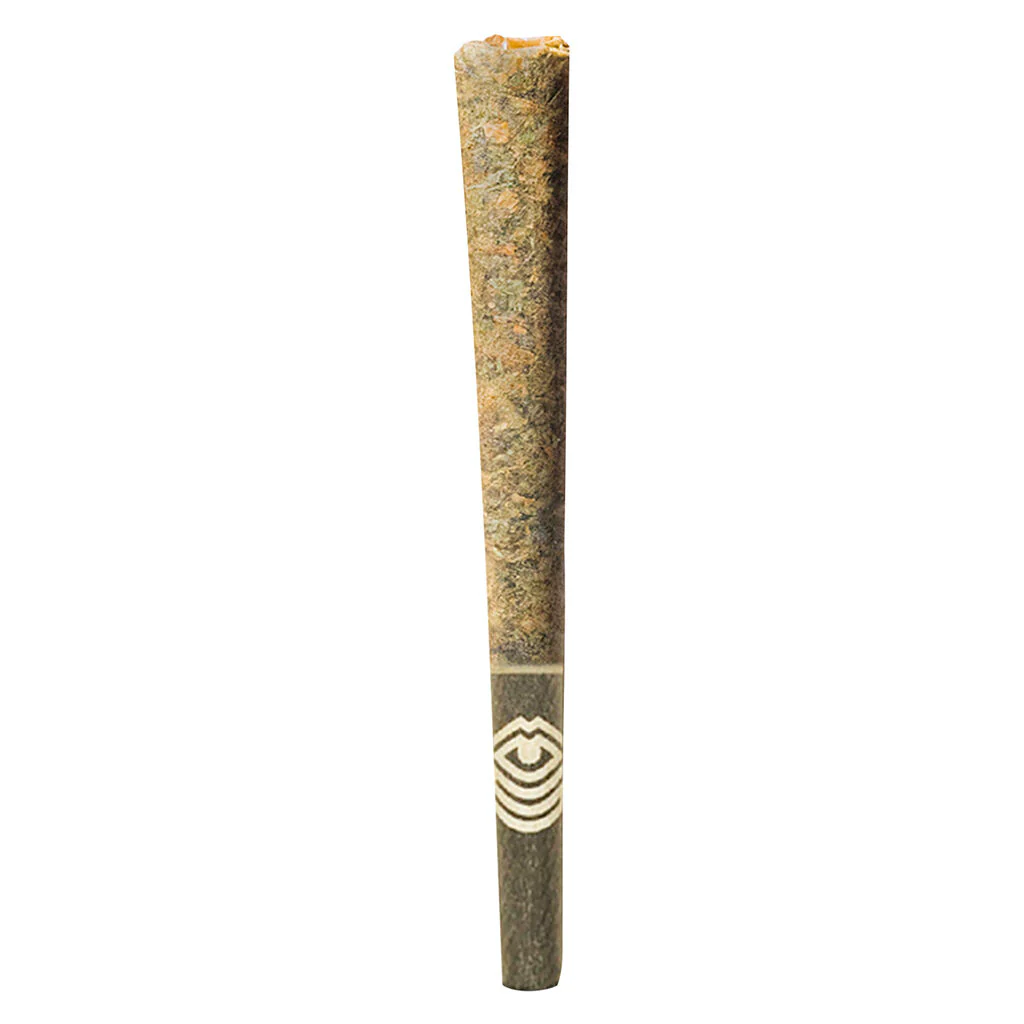 Préroulé Ministry of Sativa