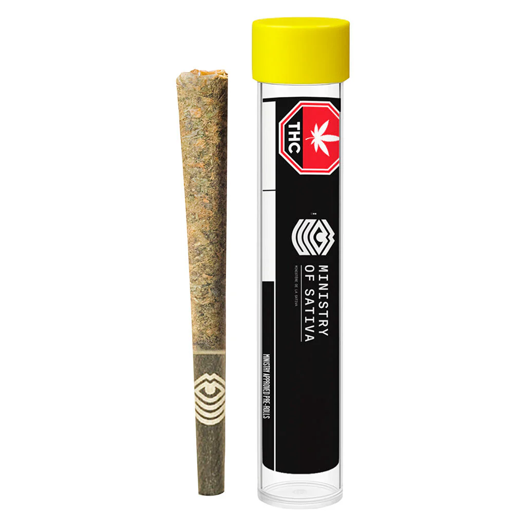 Préroulé Ministry of Sativa - Image 4