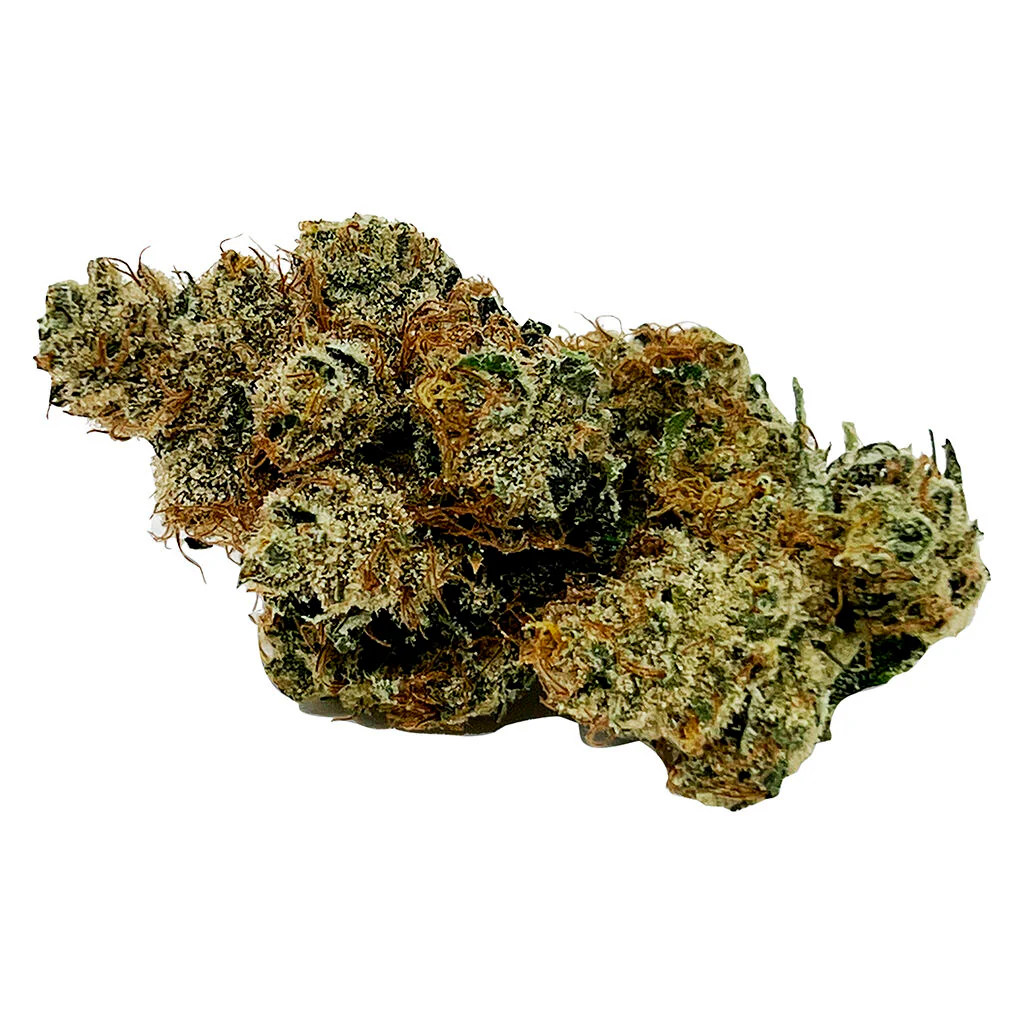 Mmmosa EVO - Image 3