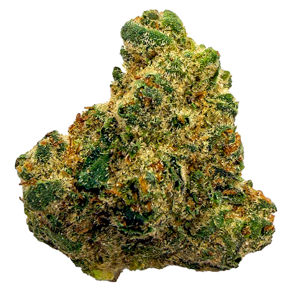 Northern Lights - Image 3