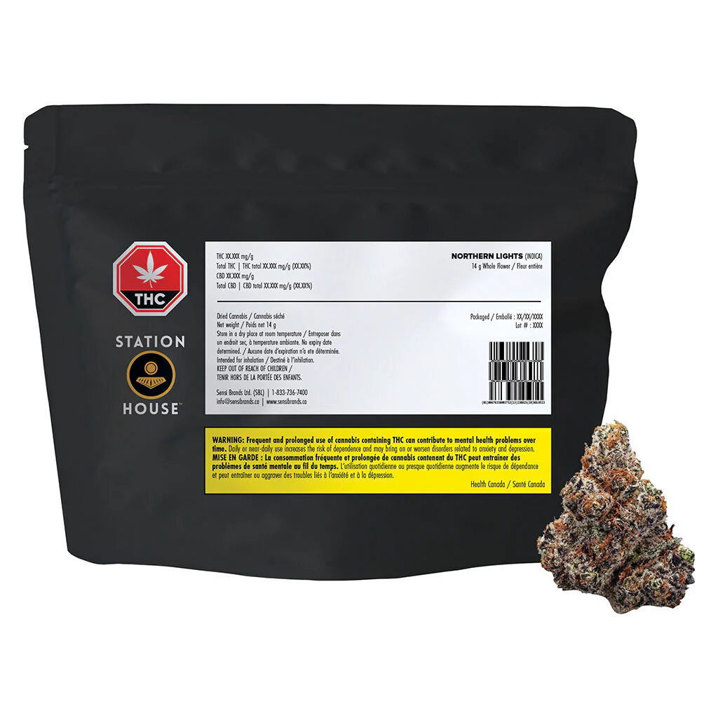 Northern Lights - Image 8