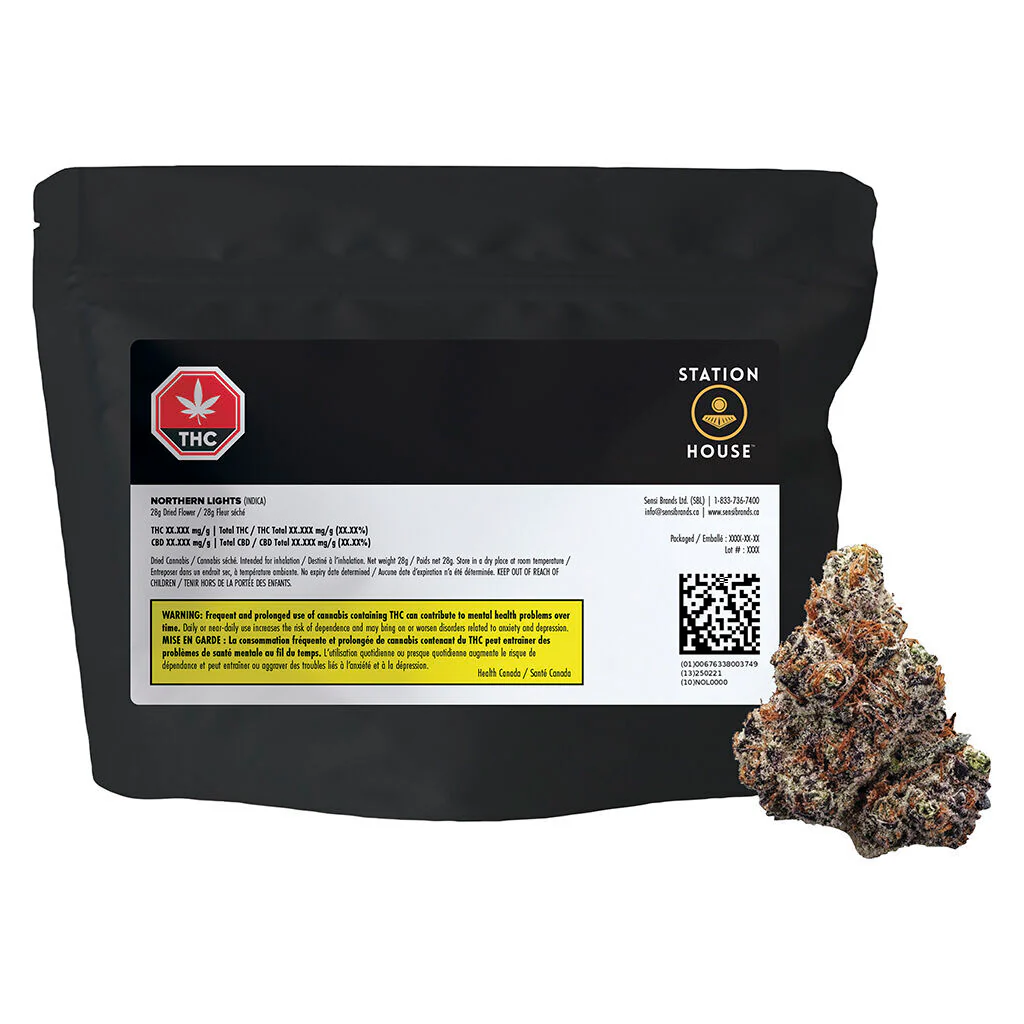 Northern Lights - Image 11