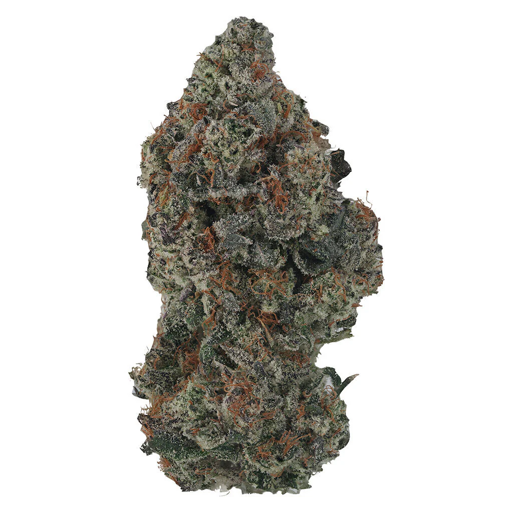 OP Reserve (Indica)